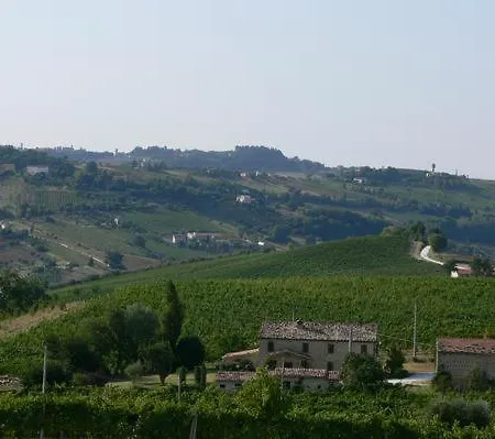 Cascinale La Mimosa Bed & Breakfast Cupramontana